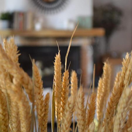 Finca Paredes Valdetorres de Jarama Eksteriør bilde