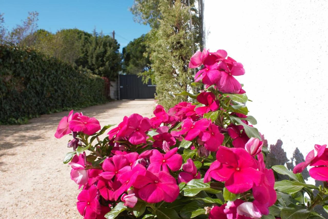 Finca Paredes Valdetorres de Jarama Eksteriør bilde