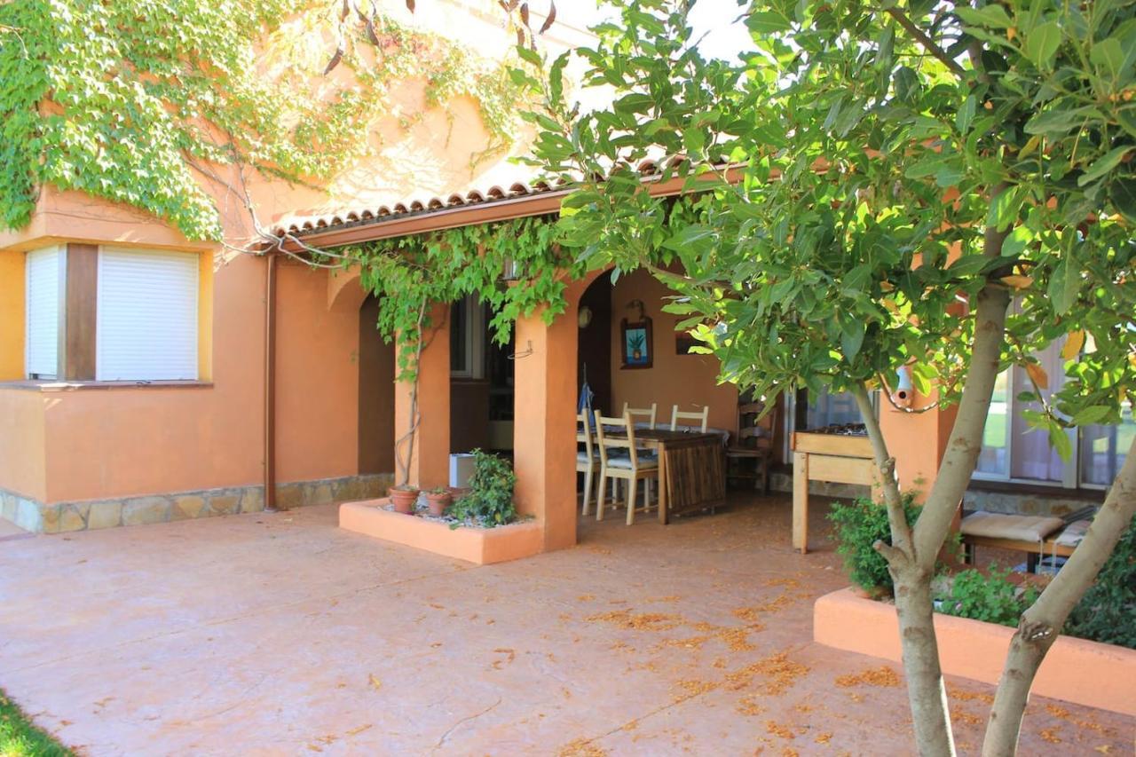 Finca Paredes Valdetorres de Jarama Eksteriør bilde