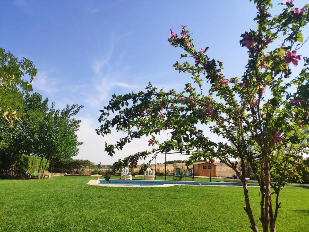 Finca Paredes Valdetorres de Jarama Eksteriør bilde