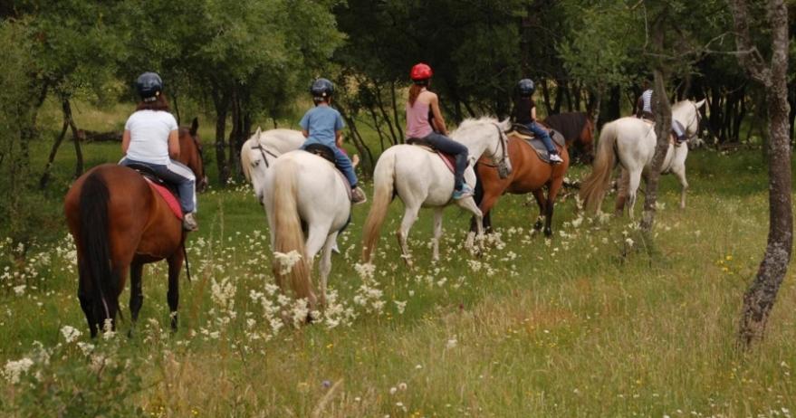 Finca Paredes Valdetorres de Jarama Eksteriør bilde